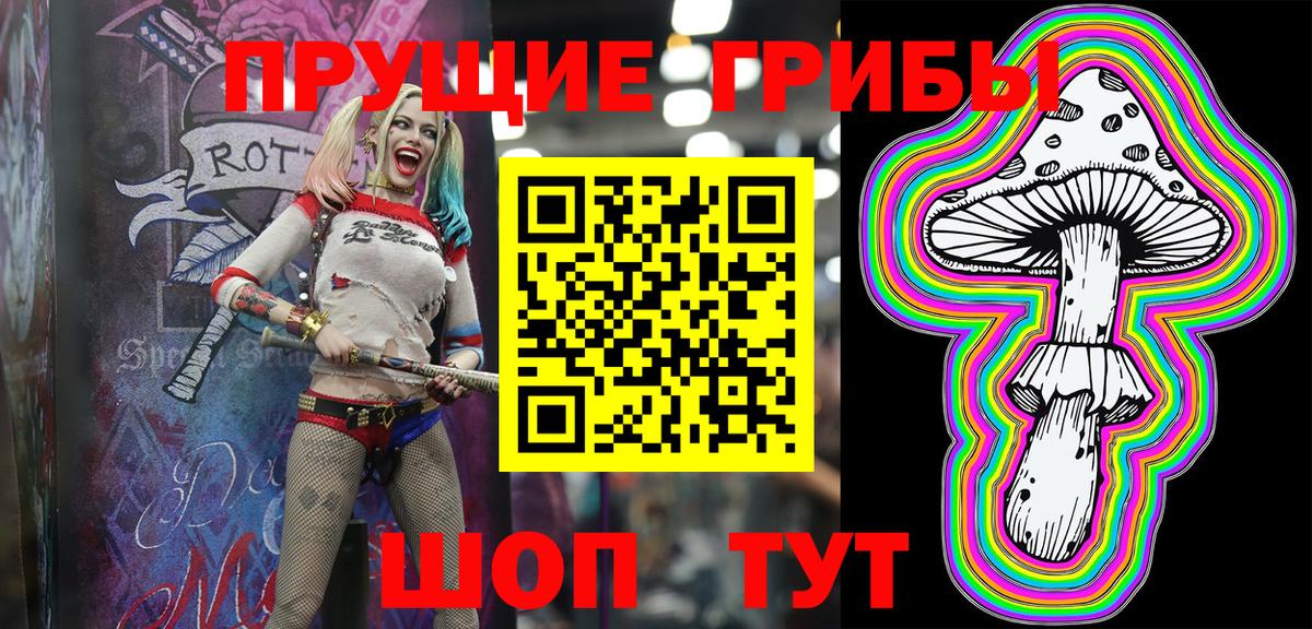 Александров  Псилоцибиновые грибы ЛСД  Вход с VPN 